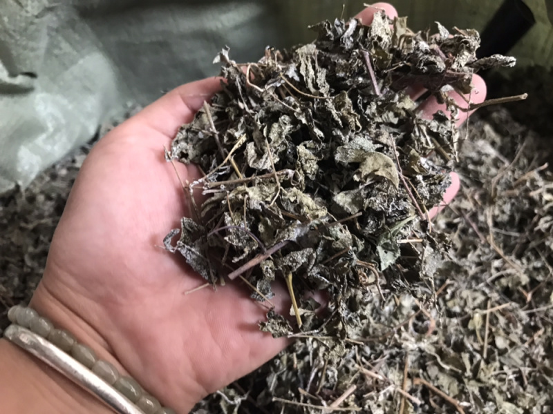 溪黄草白藤霉茶野生凉茶溪黄草中药材新货