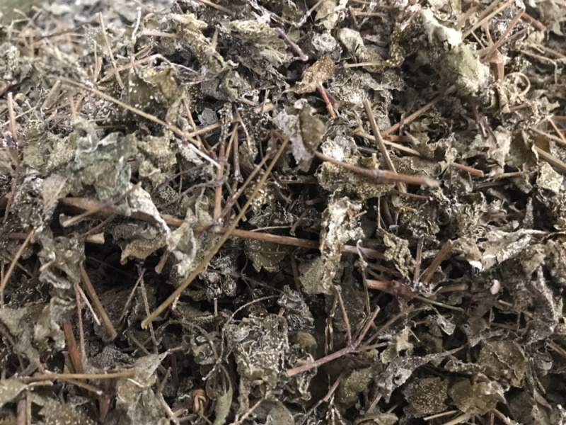 溪黄草白藤霉茶野生凉茶溪黄草中药材新货