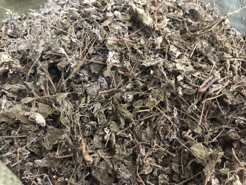 溪黄草白藤霉茶野生凉茶溪黄草中药材新货