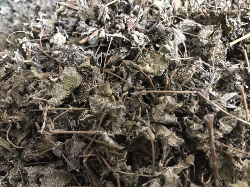 溪黄草白藤霉茶野生凉茶溪黄草中药材新货