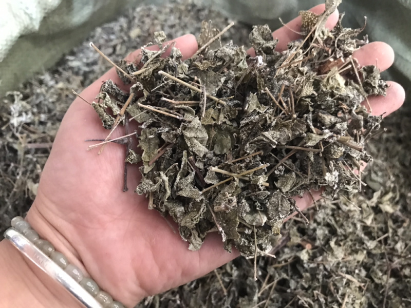 溪黄草白藤霉茶野生凉茶溪黄草中药材新货