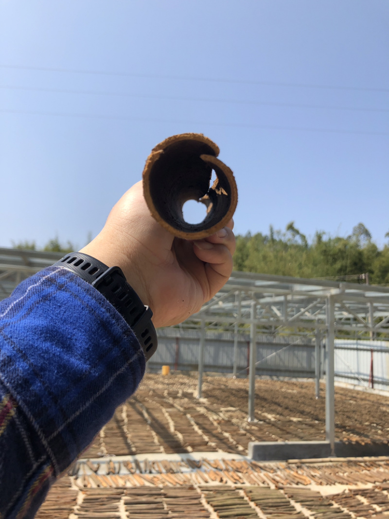 桂皮出口压装桂压箱桂皮自有产地，自有工厂质量保证