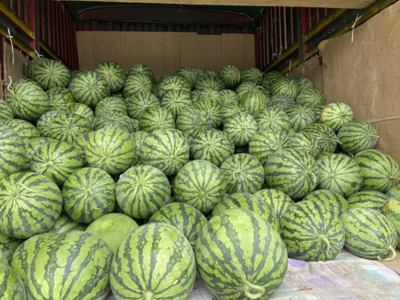 西瓜
