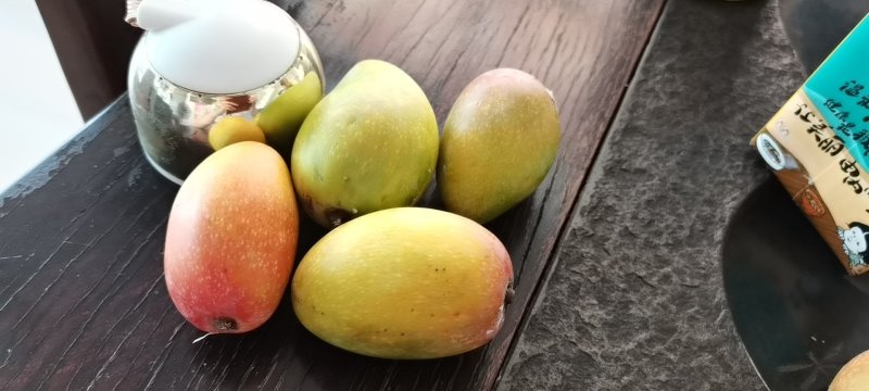 贵妃芒鸡蛋小果