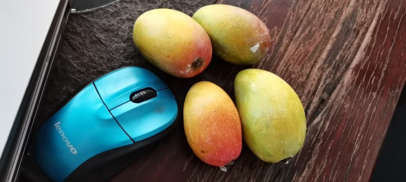 贵妃芒鸡蛋小果