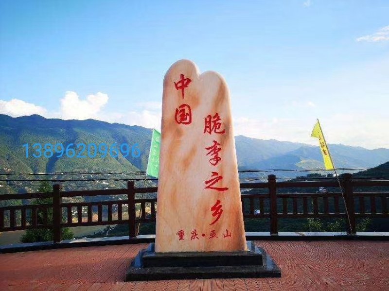 脆李