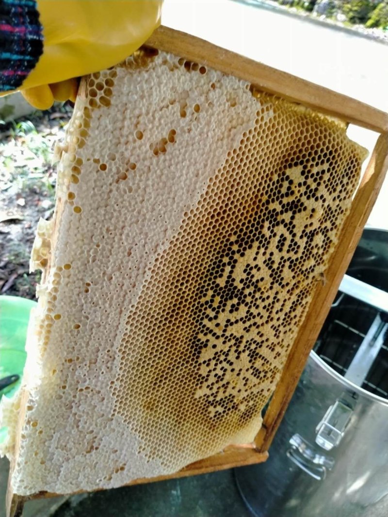 蜂蜜