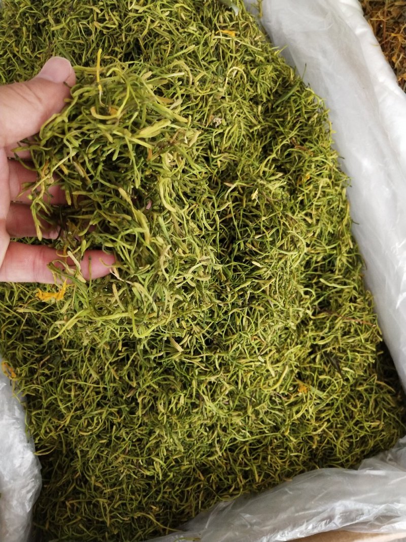 中药材山银花，湖南茶花产地发货，批发零售