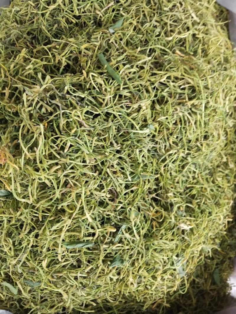 中药材山银花，湖南茶花产地发货，批发零售