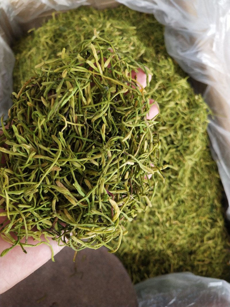 中药材山银花，湖南茶花产地发货，批发零售