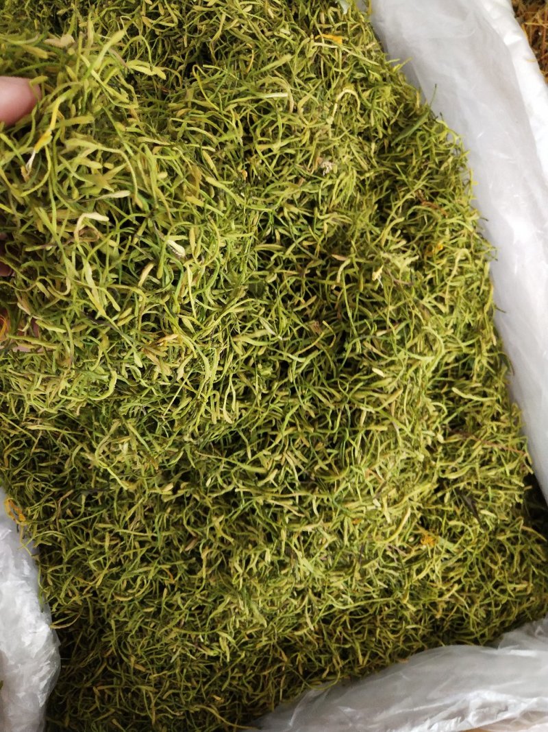 中药材山银花，湖南茶花产地发货，批发零售
