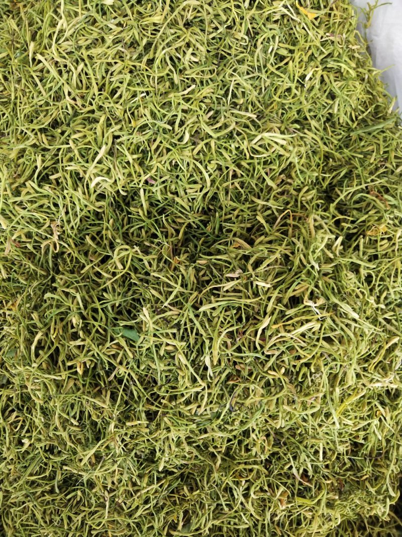中药材山银花，湖南茶花产地发货，批发零售