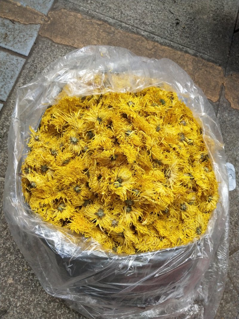 金丝皇菊，，皇菊产地发货，专业批发，批发零售价格实惠