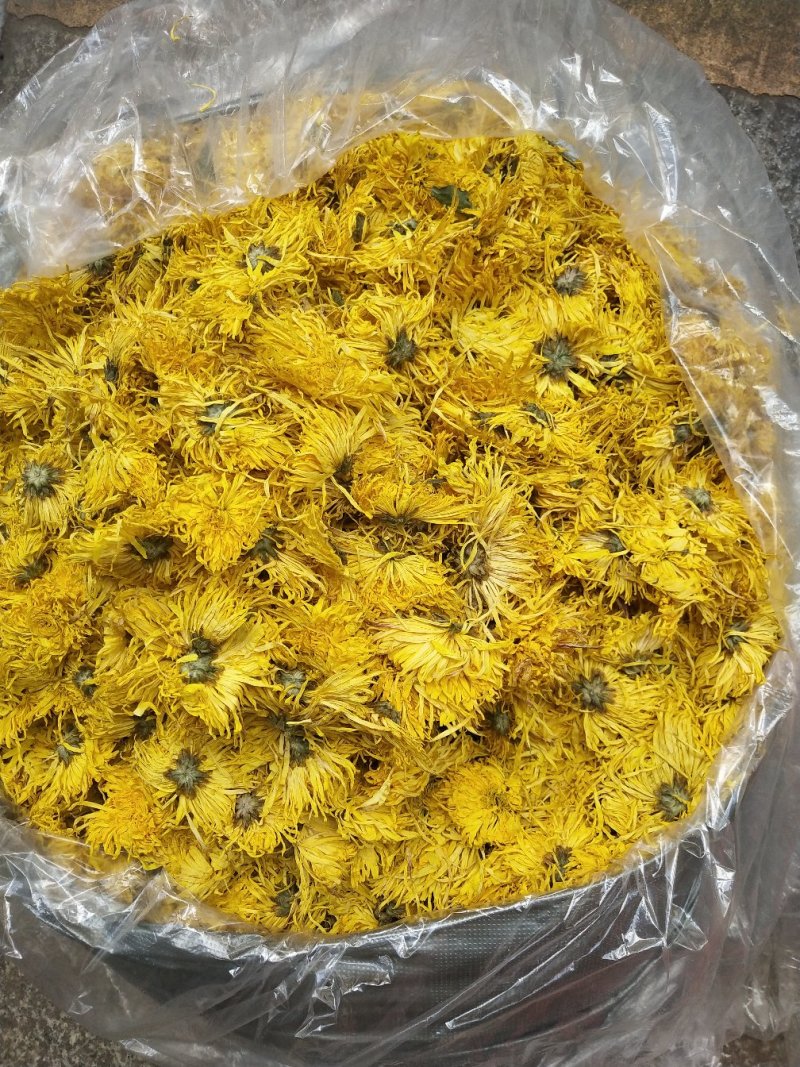 金丝皇菊，，皇菊产地发货，专业批发，批发零售价格实惠
