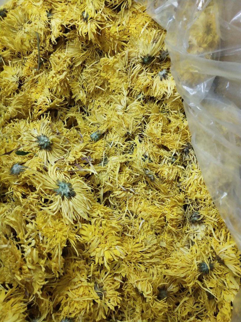 金丝皇菊，，皇菊产地发货，专业批发，批发零售价格实惠