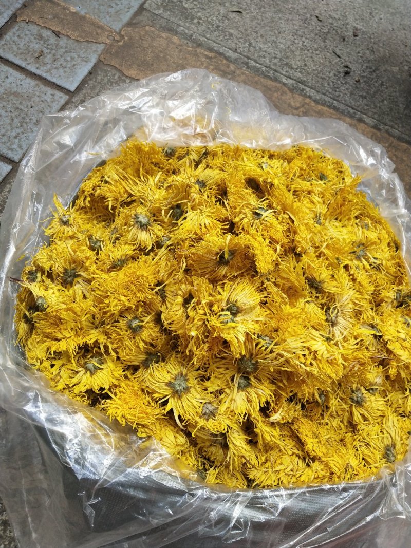 金丝皇菊，，皇菊产地发货，专业批发，批发零售价格实惠
