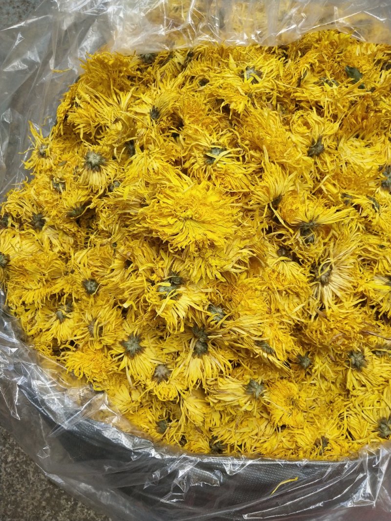 金丝皇菊，，皇菊产地发货，专业批发，批发零售价格实惠