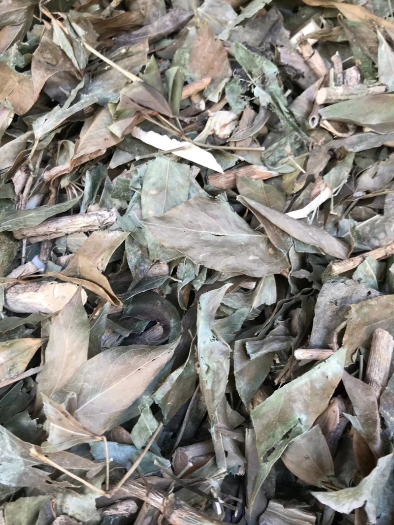 七叶莲～新货~切片~1公斤起售～质量保证～