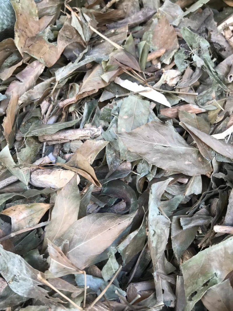七叶莲～新货~切片~1公斤起售～质量保证～