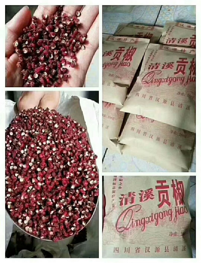 汉源花椒大量上市麻香味十足。产量大需要的老板联系