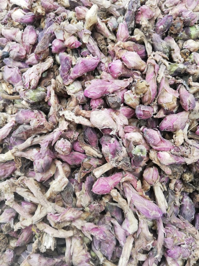 新货款冬花款冬花茶款冬花粉非野生九九花正品无硫