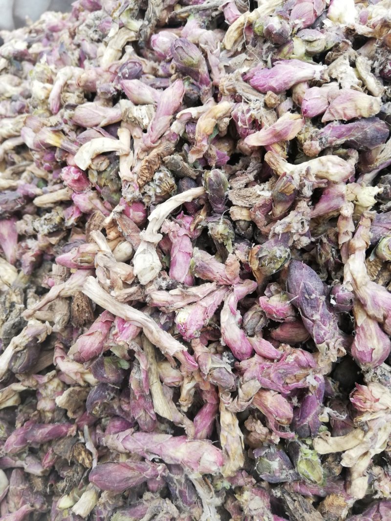 新货款冬花款冬花茶款冬花粉非野生九九花正品无硫