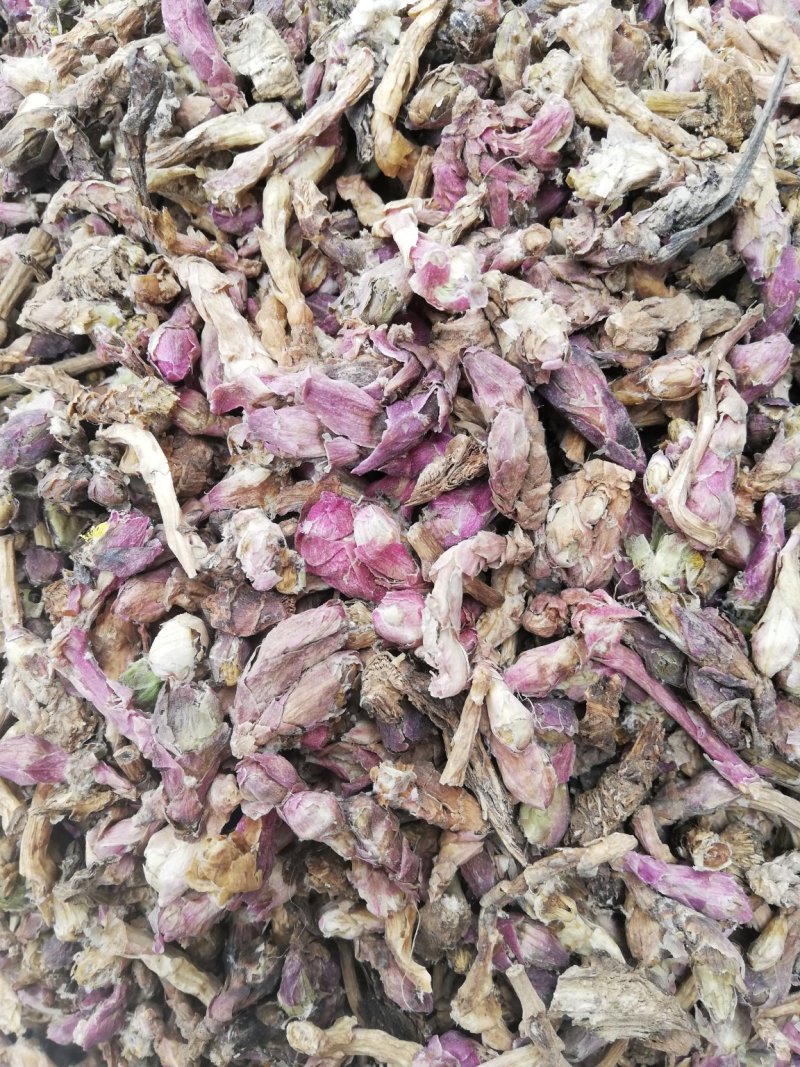 新货款冬花款冬花茶款冬花粉非野生九九花正品无硫