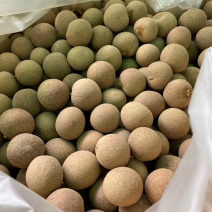 桂圆干【包邮】三斤起发货可批量可零售量大从优
