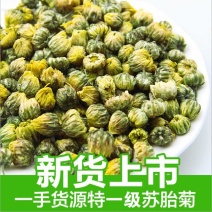 胎菊胎菊米无硫净货新货桐乡胎菊产地直销可供大货