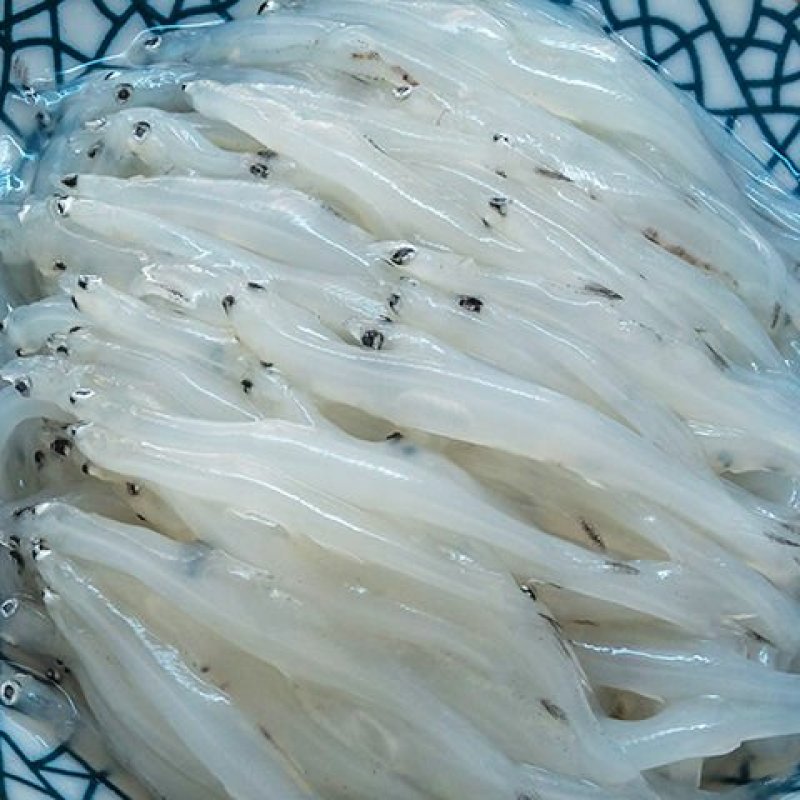 银鱼鲜活鲜冻新鲜小银鱼银鱼板冻大银鱼面条鱼