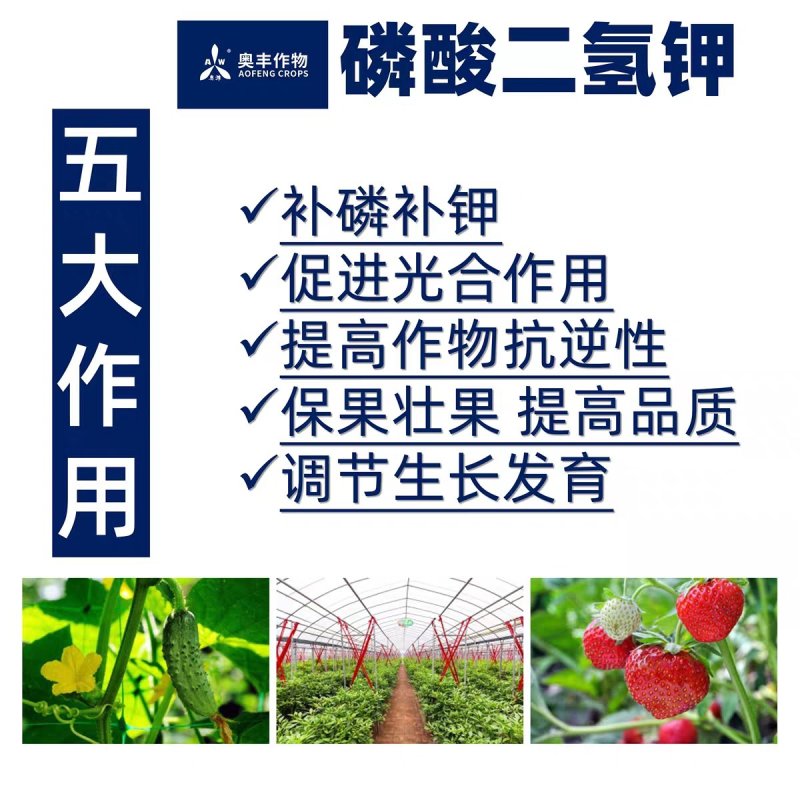 99%磷酸二氢钾1000克膨化冷水速溶叶面肥料果树蔬菜