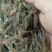 河虾