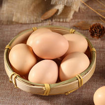 湘西农家散养土鸡蛋