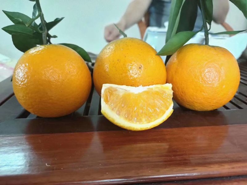 赣南脐橙赣南产地直达果冻橙孕妇橙甜甜甜，白菜价