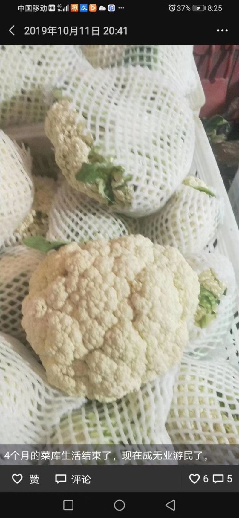 大量上市，老板可以订冷库了！