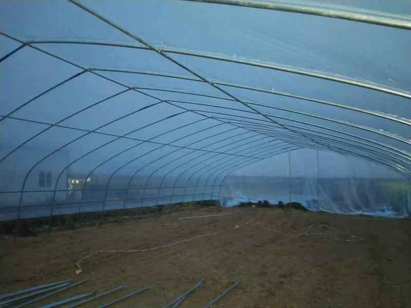 大棚温室骨架建设蔬菜大棚种植大棚养殖大棚钢管