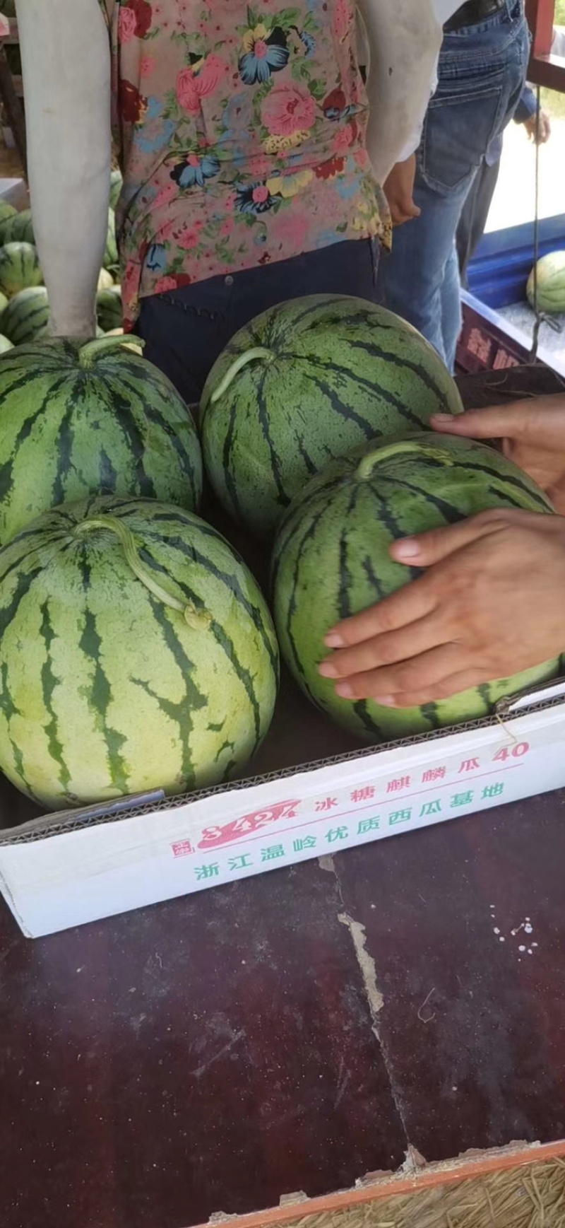 西瓜大量上市需要的老板联系