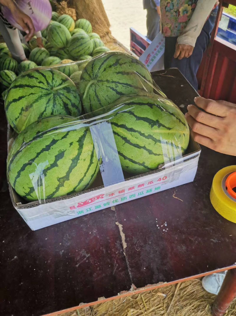 西瓜大量上市需要的老板联系