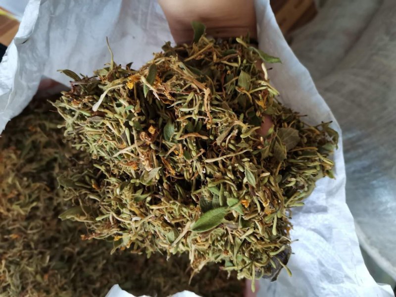 金银花有需要的老板联系我。