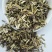 荆芥中药材批发供应荆芥荆芥穗无硫新货