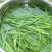 野沙葱