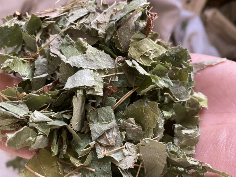 淫羊藿甘肃小片产地直销批发各种中药材