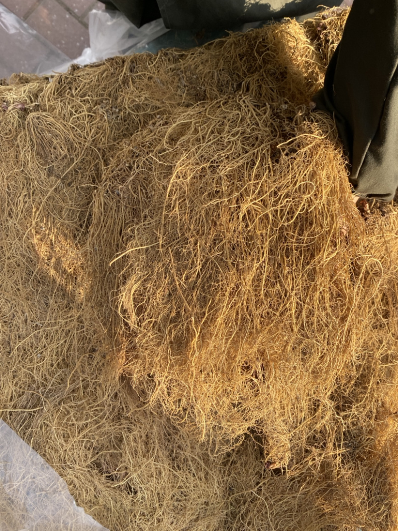 细辛辽细辛产地直销免费打粉批发各种中药材