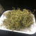 老挝化石草。去石草肾精茶新货批发