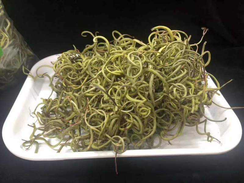 老挝化石草。去石草肾精茶新货批发