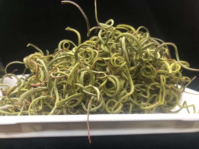 老挝化石草。去石草肾精茶新货批发