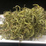 老挝化石草。去石草肾精茶新货批发