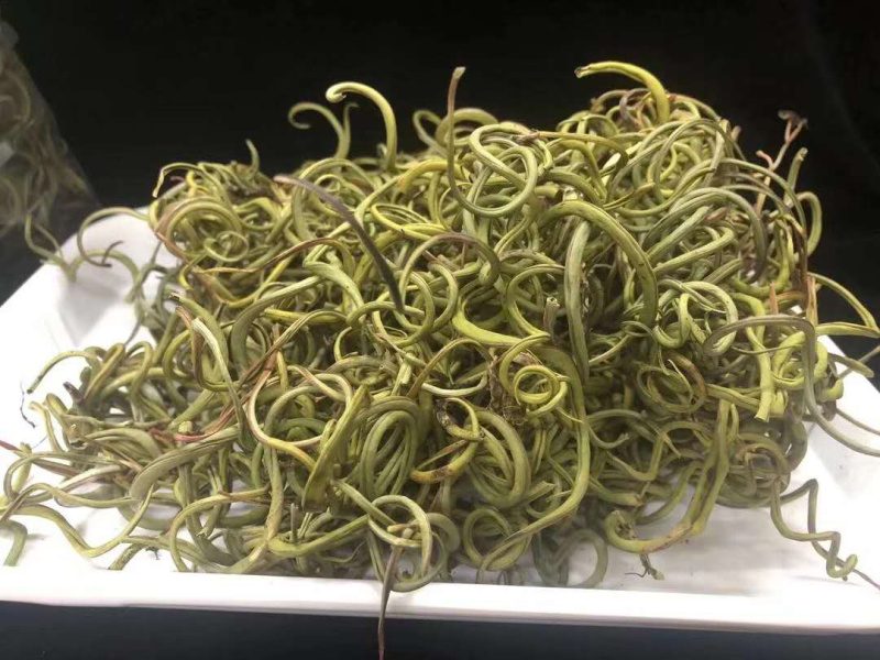 老挝化石草。去石草肾精茶新货批发