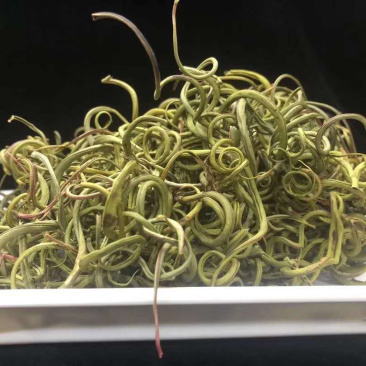 老挝化石草。去石草肾精茶新货批发