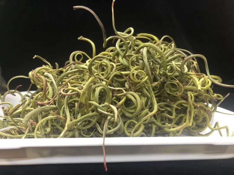 老挝化石草。去石草肾精茶新货批发